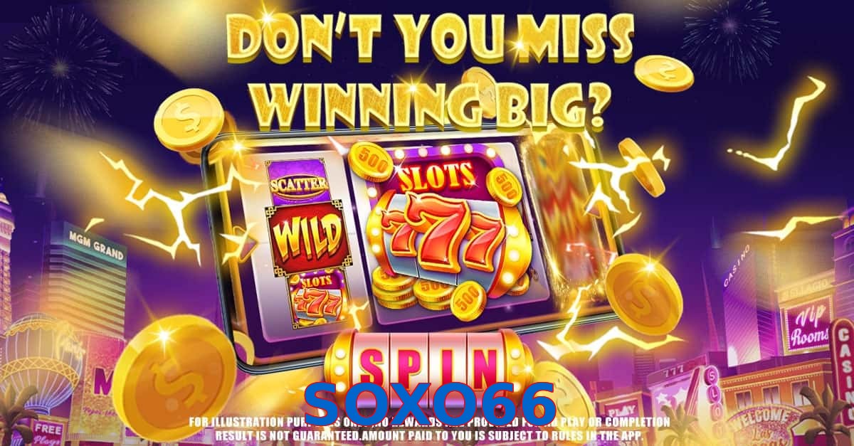 SOXO66